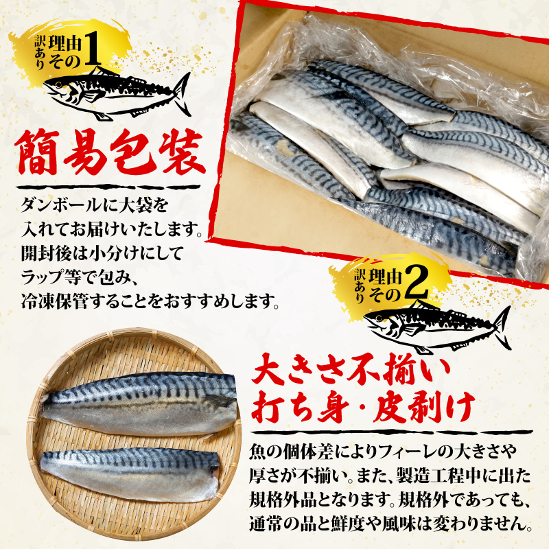 訳あり 鯖 切り身 2kg ～ 3.6kg 【選べる容量】 塩さば さば サバ 魚 魚介 切身 小分け わけあり 不揃い 規格外 ふるさと納税鯖 ふるさと納税さば 千葉県 銚子市 辻野